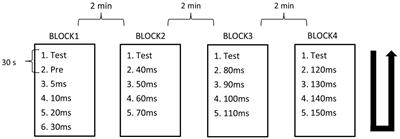 Short-latency prepulse inhibition of the trigeminal blink reflex